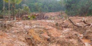 keralanews kurichyarmala in wayanad in fear of landslide warning that the lake on the top of the mountain may fell down