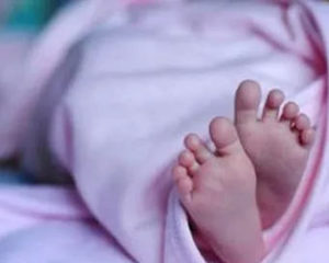 keralanews two newborns die from food poisoning at government orphanage in madhura up