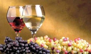 keralanews decision to make mild alchohol from fruits
