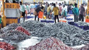 keralanews expert study shows that 1-5 kilos of plastic in our body after one year of continuous consumption of fish