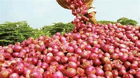 keralanews state government has restrictions on the market to control the price of onion and import onion from nasik
