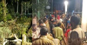 keralanews eight pilgrims injured after a tree fell on road in marakkoottam sabarimala