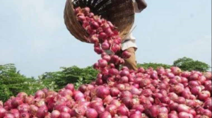 keralanews record price for onion in india 100rupees in north india and 70rupees in kerala