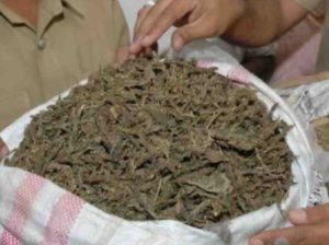 keralanews two arrested with six kilograms of ganja in kannur