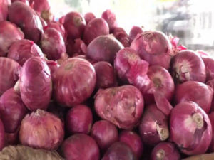 keralanews onion price in the country reach at 20upees in january