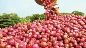 keralanews onion price is decreasing wholesale price reduced 40rupees for one kilogram