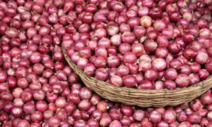 keralanews onion price is increasing in the state again