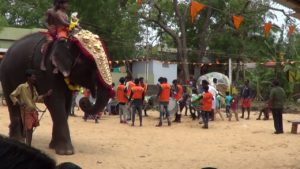 kearalanews two injured in elephant attack during temple festival in kannur