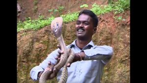 keralanews the health condition of vava suresh is improving anti venom was given four times and health minister said free treatment will be given for him