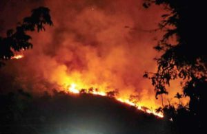 keralanews four died in forest fire in theni tamilnadu