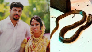 keralanews anjal murder case police bring sooraj for evidence collection and bottle used to bring snake found