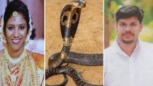 keralanews incident lady died of snake bite in kollam husband under custody