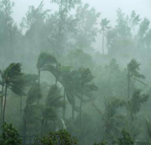 keralanews heavy rain in north district red alert in kozhikkode and wayanad four teams of national disaster management force have reached kerala