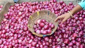 keralanews onion price incerasing in the state