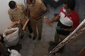 keralanews sandal wood seized by kasarkode district collector and team