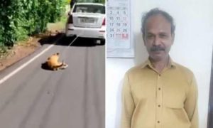 keralanews driver arrested in the incident of dog tied to the back of moving car in ernakulam paravoor