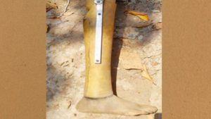 keralanews an artificial leg was found under mysterious circumstances near the house of K kunhiraman mla