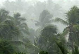 keralanews low pressure heavy rain in the state 9 teams of disaster management force arrive in kerala