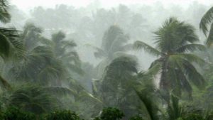 keralanews chance for heavy rain in the state till saturday orange alert in five districts