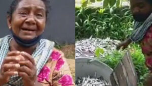keralanews complaint that police destroyed the fish that old women selling on road side