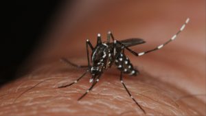 keralanews zika virus confirmed in three more people in kerala