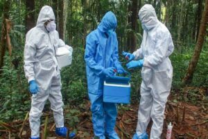 keralanews nipah fear reduces result of 30 persons negative