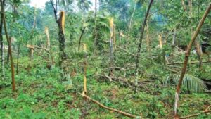 keralanews whirlwind in thrissur puthur three houses damaged completely three houses were completely destroyed widespread damage occured