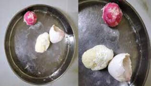 keralanews find pink clour in eggs bring to give students in kozhikode govt school presence of the causative microorganism was detected