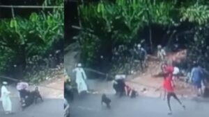 keralanews incident of housewife injured in dog bite dog owner arrested