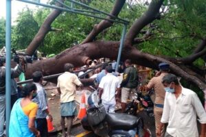 keralanews woman constable died when big tree fall on her in tamilnau secretariate premises