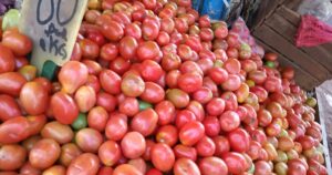 keralanews agriculture department intervened to control the price of vegetables in the state 10 tonnes of tomatoes have been delivered