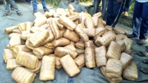 keralanews largest cannabis hunt in kerala police history three arrested with more than 450 kg of cannabis in kodakara