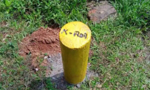 keralanews shared picture of k rail survey stone removed in madayippara youth arrested