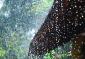 keralanews chance of heavy rain in the coming hours in the state yellow alert in two districts