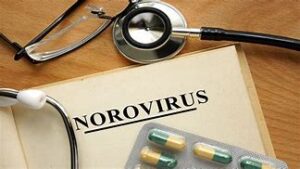 keralanews 9 school children been diagnosed with noro virus in ernakulam 67 children have similar symptoms
